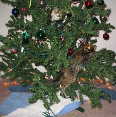 Penny in the Christmas Tree